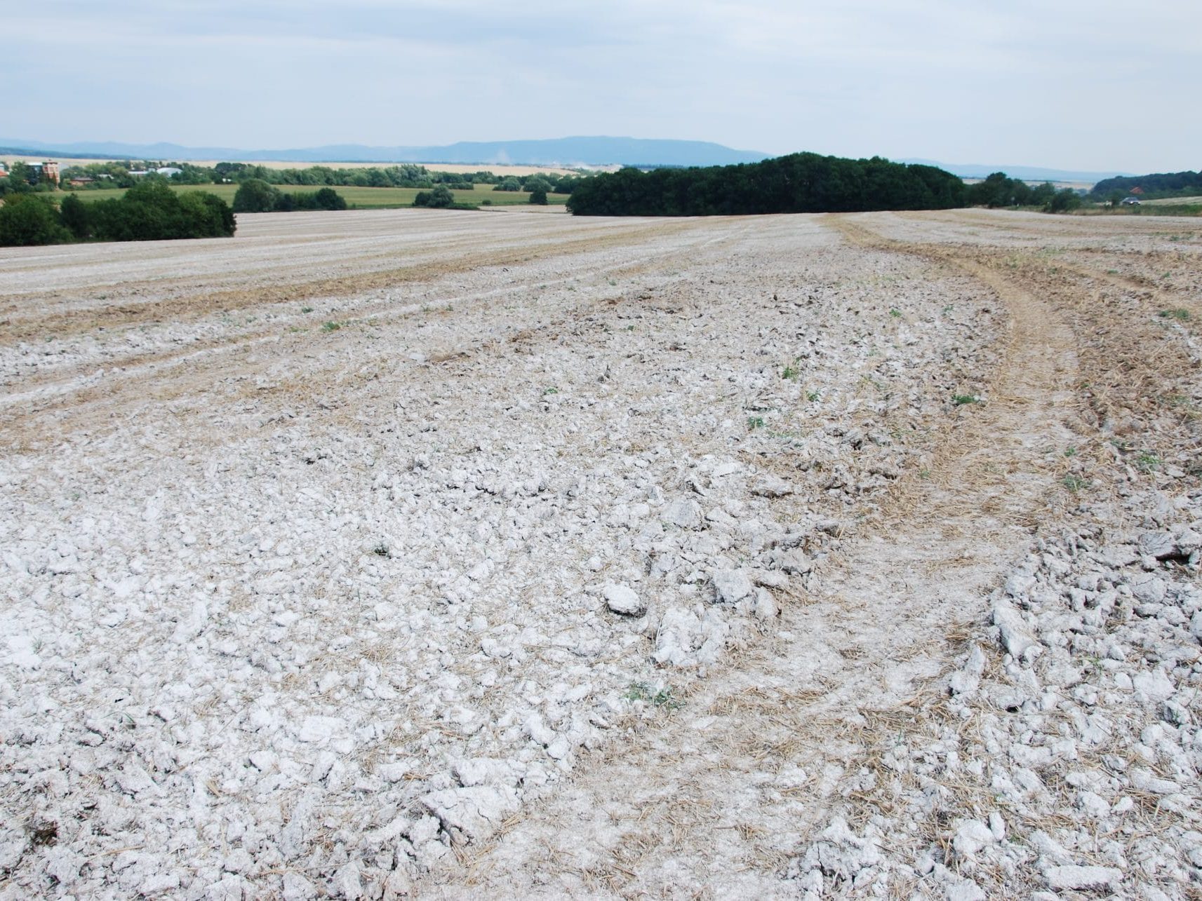 Ak budeme vnímať deficit vápnika iba ako číslo, môžeme pôde ešte viac ublížiť.