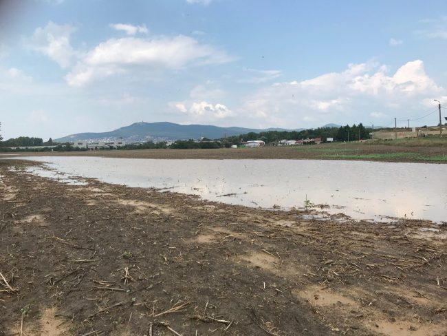 Janíkovce zamokrená parcela