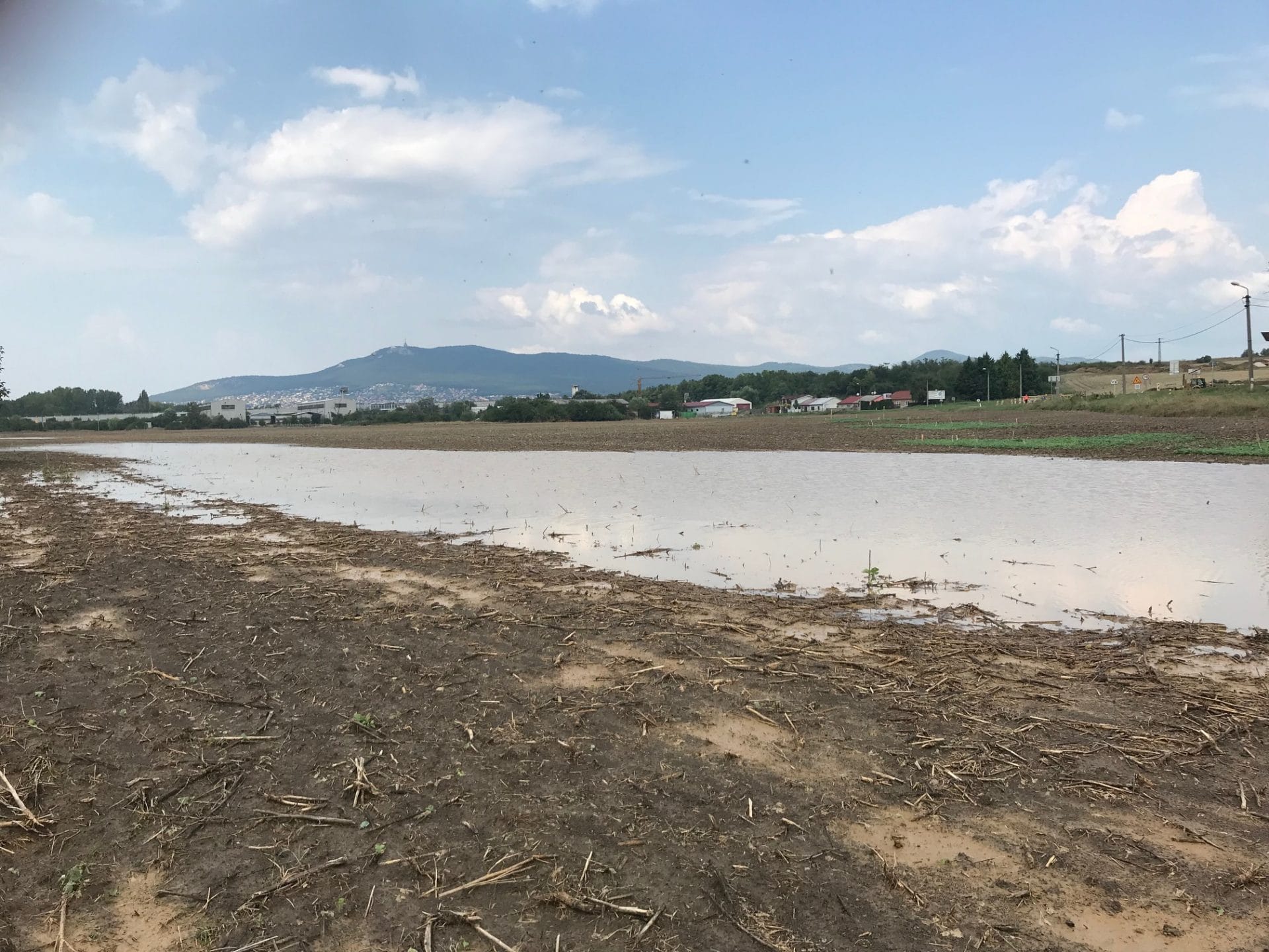 Janíkovce zamokrená parcela