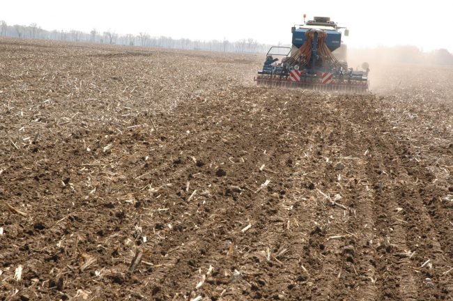Straty herbicídov na bezorbových technológiách sú v skutočnosti veľmi variabilné.