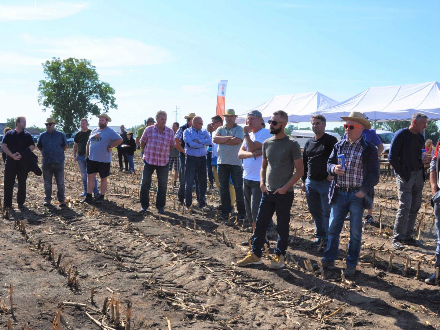 Kukuričný deň poľa v PD Špačince zaujal mnoho pestovateľov.