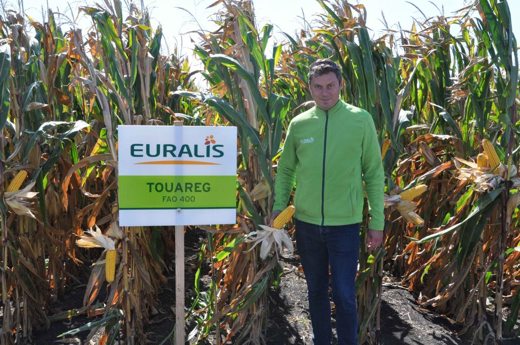 Ing. Stanislav Králik, zástupca spoločnosti Euralis Saaten pri poraste najpredávanejšieho hybridu Touareg (FAO 400). Je to americký typ kukurice s obrovským šúľkom. V strednej a vysokej intenzite pestovania dosahuje veľmi vysoké úrody.