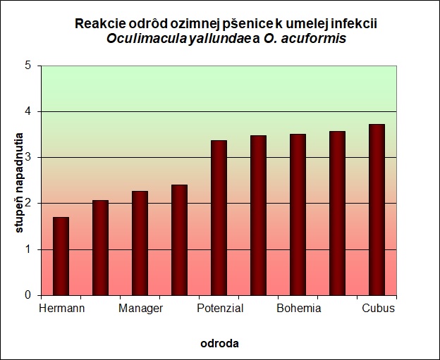 Reakcie odrôd pšenice ozimnej k umelej infekcii Oculimacula yallundae a O. Acuformis