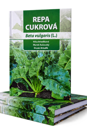 Repa cukrová - Beta vulgaris (L.)